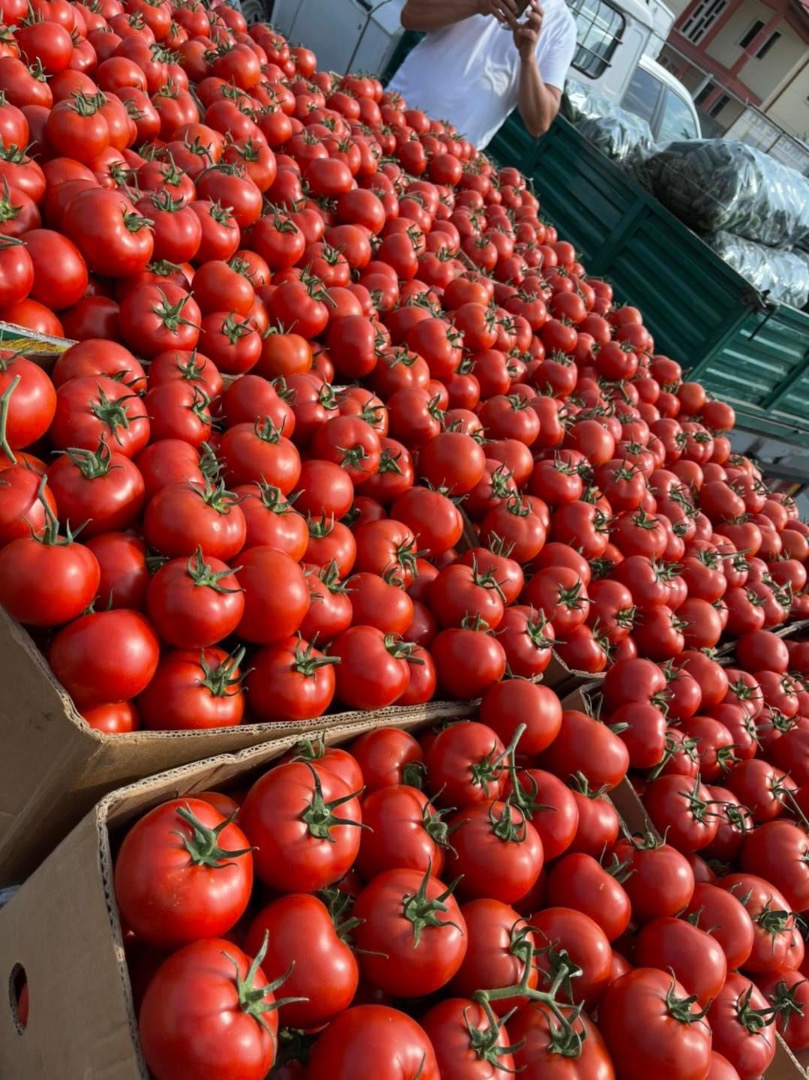 ❗️We sell fresh Romanian vegetables wholesale! ❗️We sell fresh Romanian vegetables wholesale! ☎️ More details on whatsapp at phone number ☎️More details on