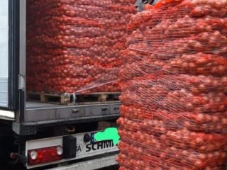 ❗️We sell fresh Romanian vegetables wholesale! ❗️We sell fresh