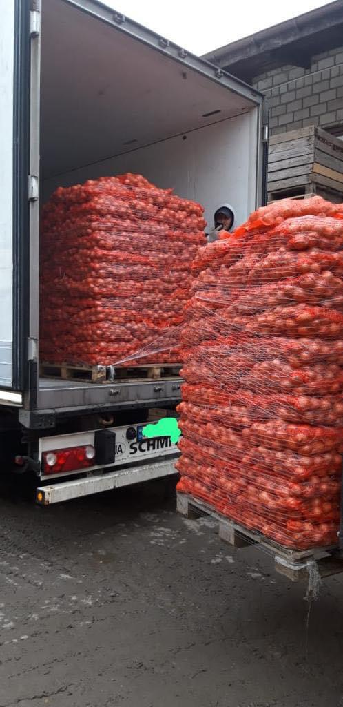 ❗️We sell fresh Romanian vegetables wholesale! ❗️We sell fresh Romanian vegetables wholesale! ☎️ More details on whatsapp at phone number ☎️More details on