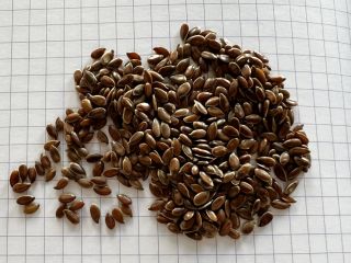 Our company Ingran can now offer flax seeds of