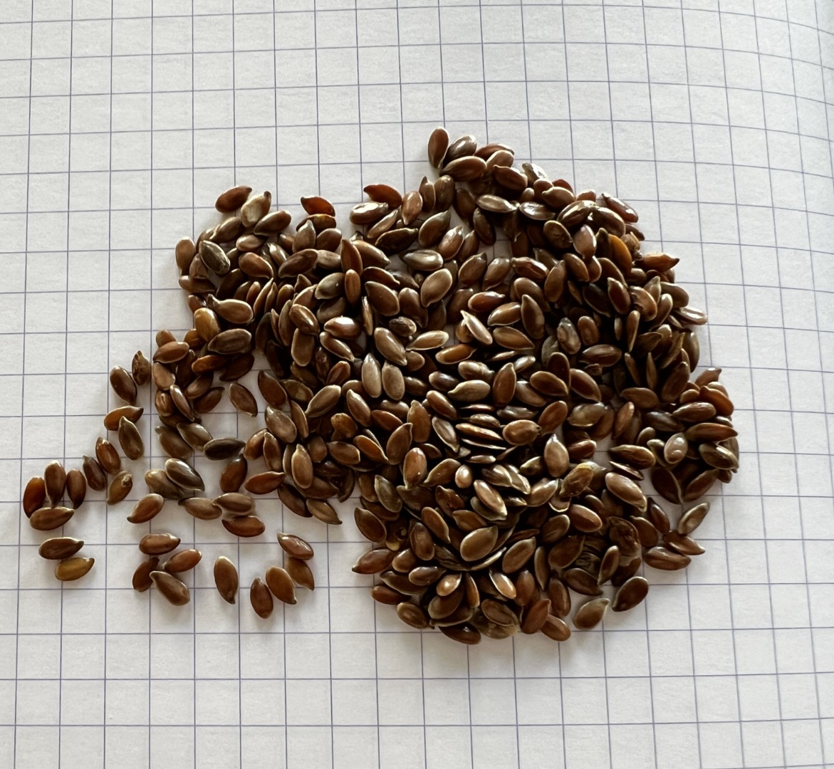 Our company Ingran can now offer flax seeds of 99.99% purity (packaging 25kg plastic bag or BB) at a price of 755 Euro DDP as well as 99% purity - 700 Euro DDP