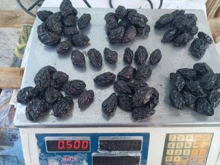 dried plums fruits / prune / plum export from