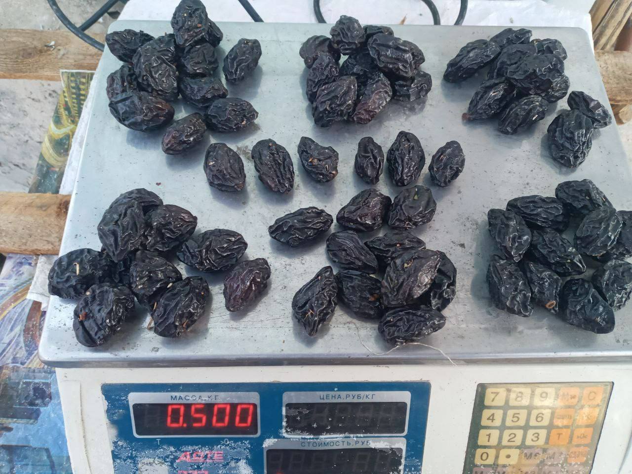 dried plums fruits / prune / plum export from Uzbekistan 1 kg 1.3$