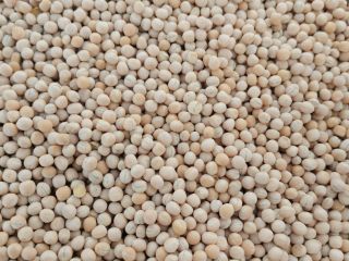 Cleaned peas Astronaute variety. Hay from Qualifikat available 10