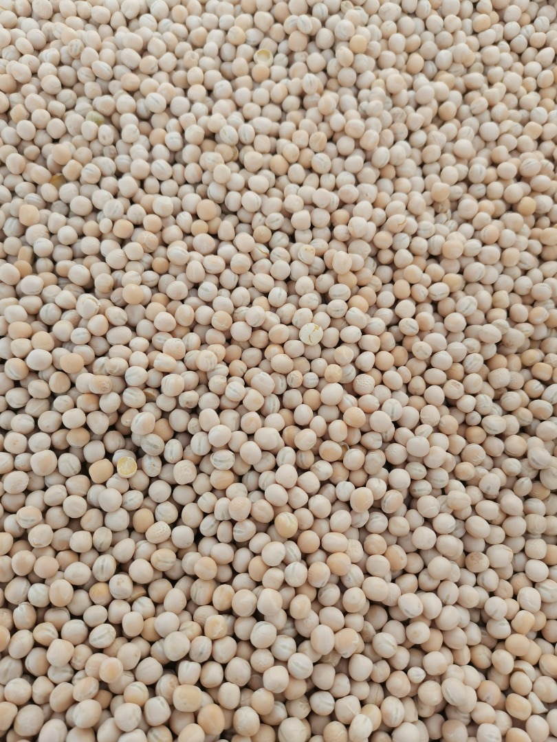 Cleaned peas Astronaute variety