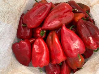 Продава се червена чушка капия 1 и 2 качество.