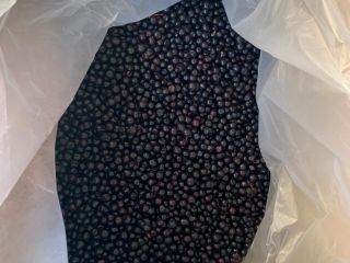 I'm selling mountain blueberries!, quality guaranteed!