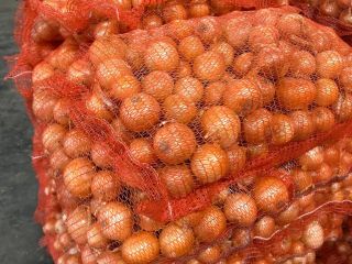 We sell onions for export from Ukraine. We provide