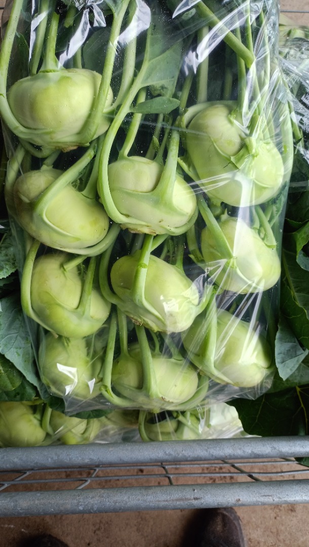 Kohlrabi for fresh market with a nice leaf