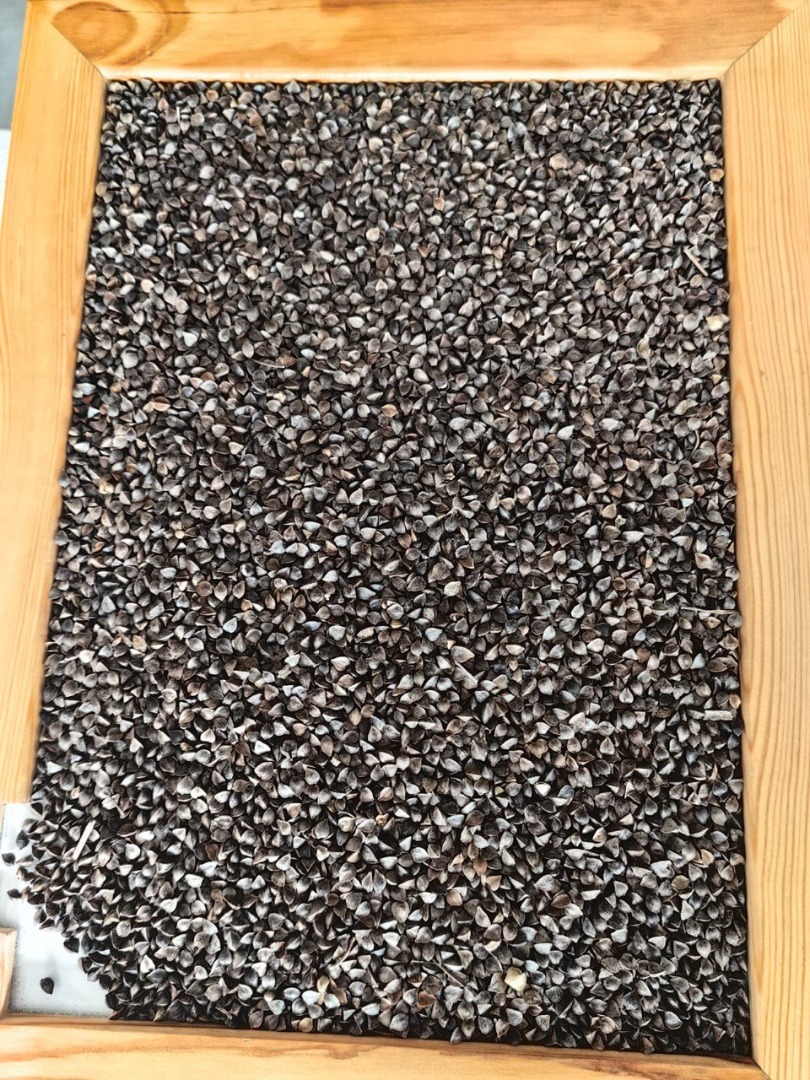Dried buckwheat, sifted Moisture: 13.2% Contamination: 3% Price: PLN 1,540 per 1 ton (50 kg bags) Price given per 1 ton Location: Małaszewicze Delivery: