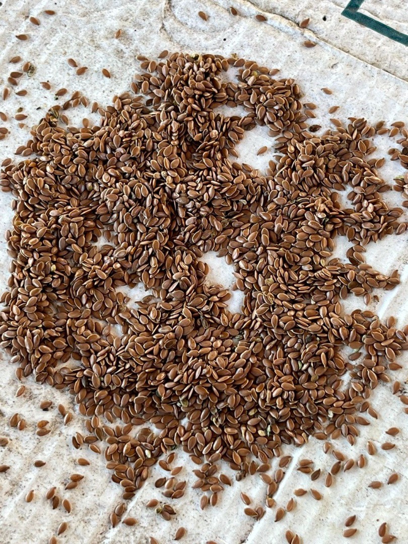 Brown linseed Brown flax, oily Moisture: 6.4% Contamination: 1.8% Price: PLN 2,450 per big bag (1 ton) Location: Małaszewicze Delivery: Calculated individually