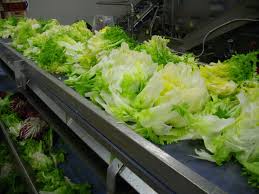 We are a salad marketing company