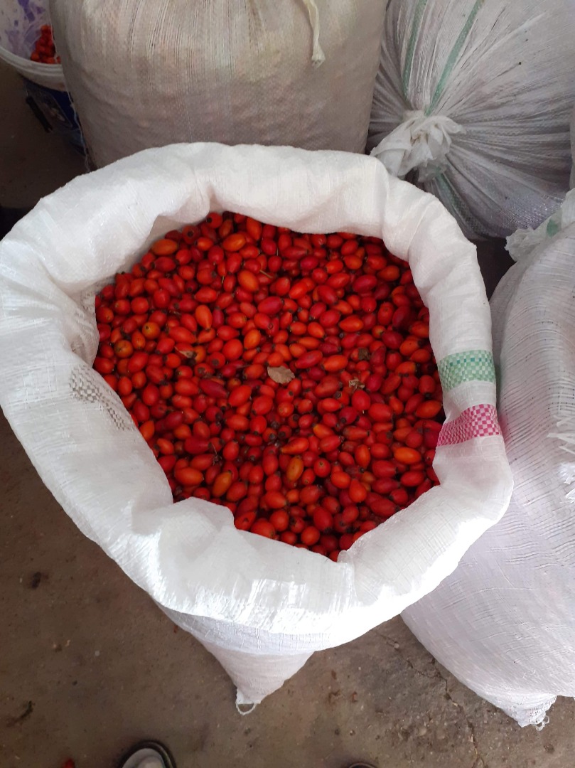 I am selling rose hips, large quantity