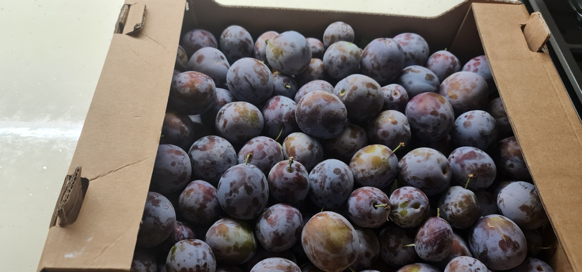 "Elena" type plums for brandy 0.6 euro/kg Plums for consumption 0.7 euro/kg Quantities 50-100 tons Brix 18-20