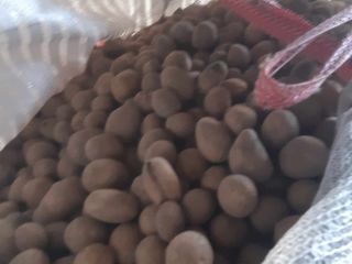 Good day, I will sell waste feed potatoes. 0.30