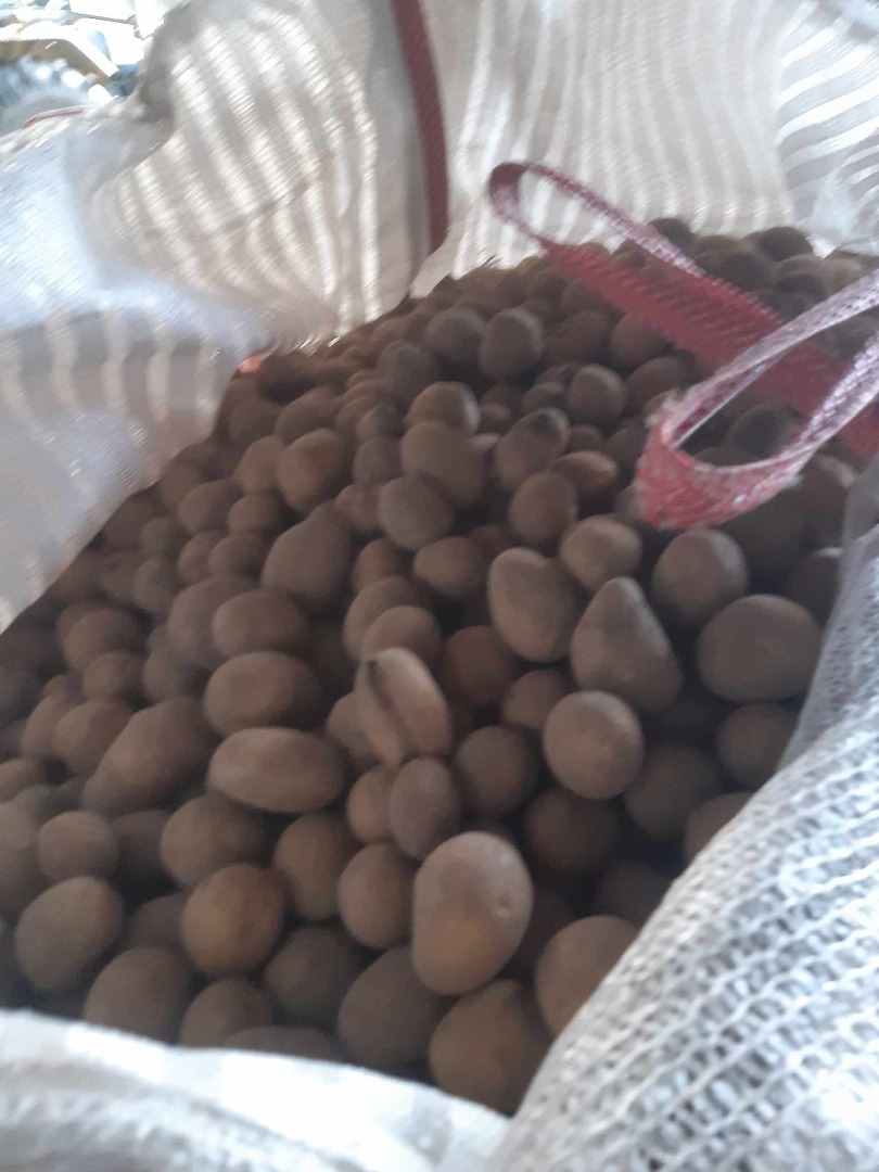 Good day, I will sell waste feed potatoes