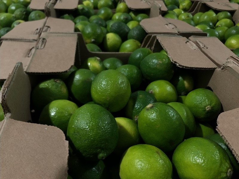GREEN LIME for sale