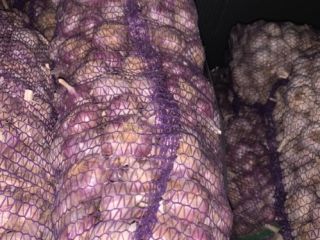 I will sell garlic 1,800 kg. Transport possible