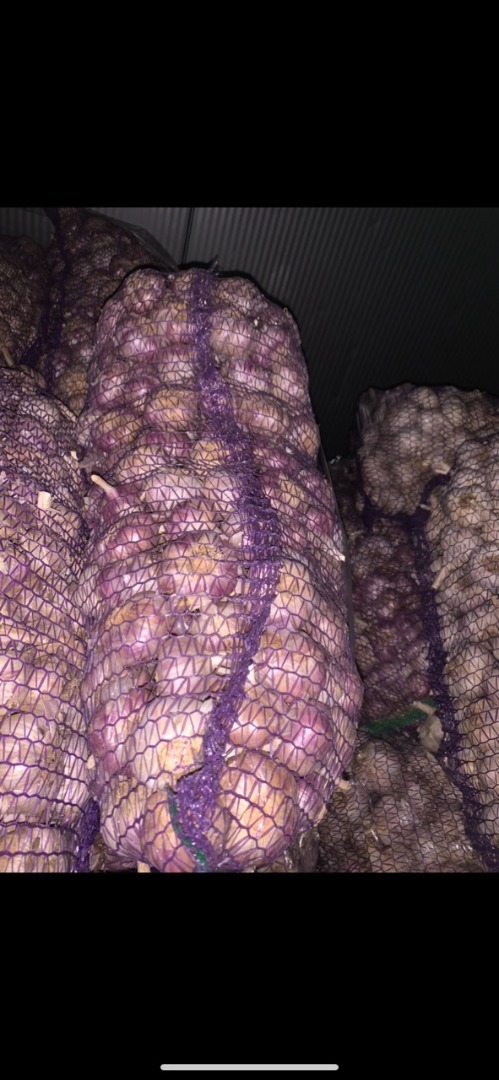 I will sell garlic 1,800 kg
