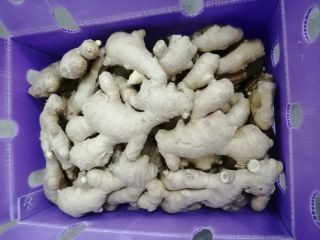 Fresh ginger rhizome for sale. Possibility of selling in