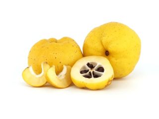 QUINCE JUICE BARREL 200 L (210 KG) Natural NFC