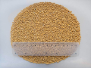 Semi di senape bianca (Brassica Juncea) Umidità: 9,2% Purezza: