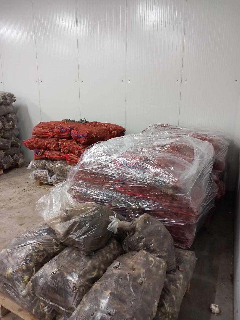 I sell horseradish root in large quantities