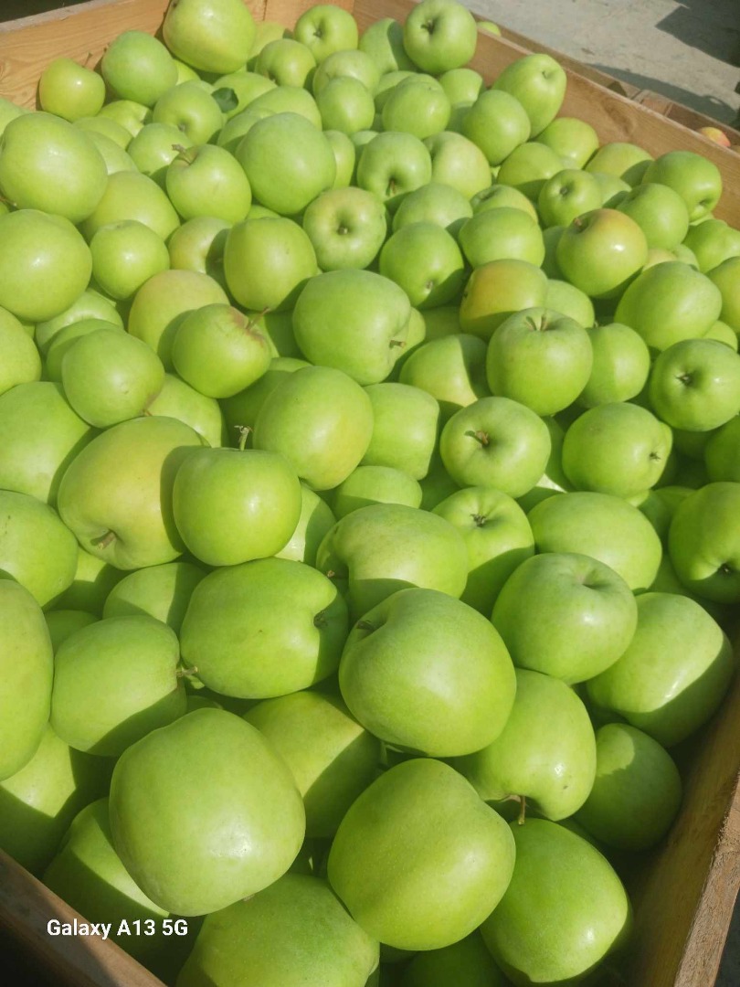 Beautiful mutsu for sale during harvest Warka
