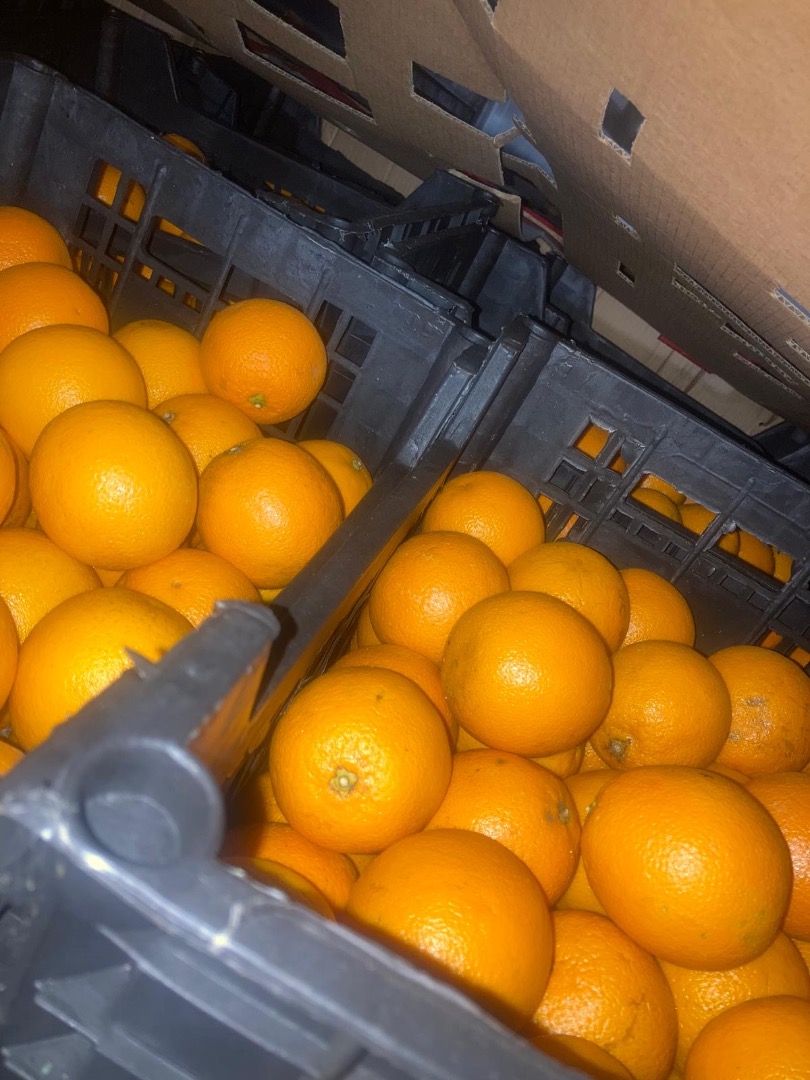 VALENCIA ORANGE Origin: Egypt Quality: 1B Caliber: 100 Packaging: Bulk Format: Plastic 15kg Certificates: Global GAP **EXW PRICE** 0.78 €/KG - DEPARTURE FROM