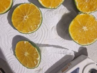 SATSUMA IWASAKI MANDARIN Origin: Spain Quality: 1B - Field