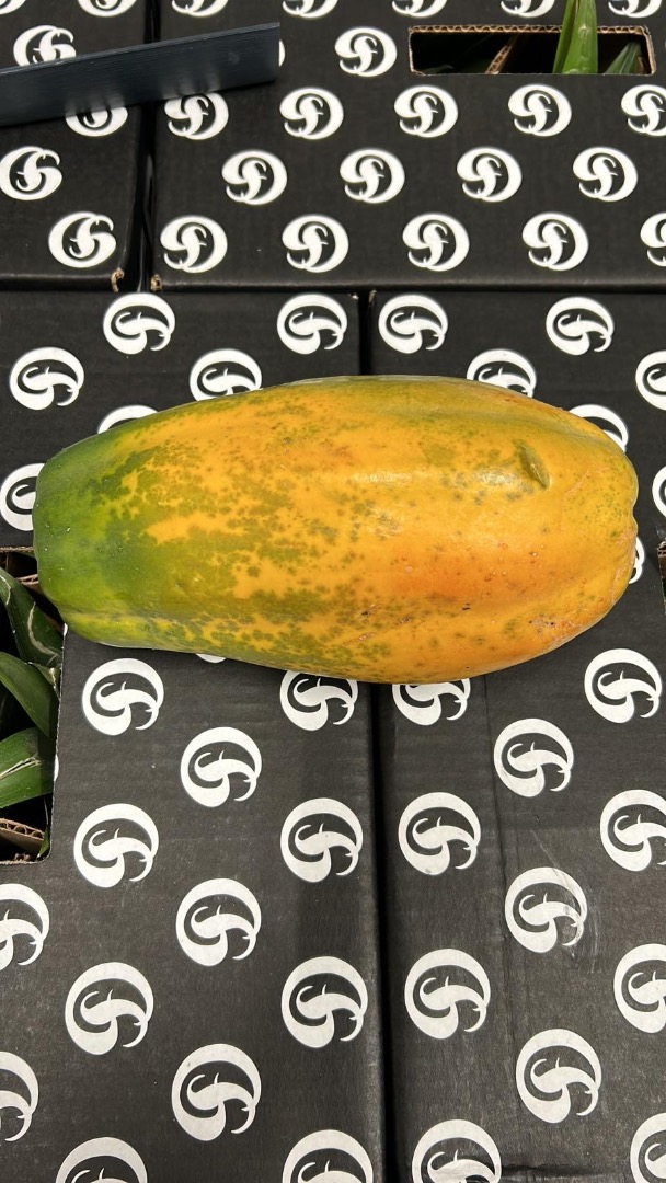 PAPAYA - BY AIR Origin: Colombia Quality: Premium Caliber: 3/4 Packaging: Boxed Format: 4.5kg Cardboard Certificates: Global GAP & ECO **EXW PRICE** €12.15/box