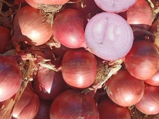 RED ONION Origin: Morocco Quality: CAT I Caliber: +40