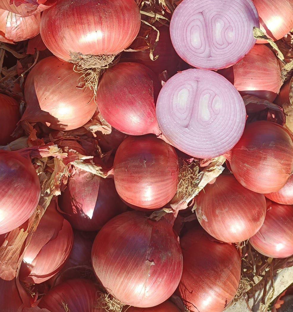 RED ONION Origin: Morocco Quality: CAT I Caliber: +40 Packaging: bulk Format: Big Bag - Jumbos Certificates: —X— **OUTGOING PRICE (EXW)** 0.48 €/kg —