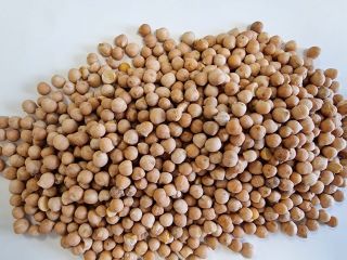 We have chickpeas for sale, please contact me