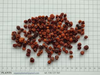 For sale we have rowanberry fruit, hunger fruit, rosehip
