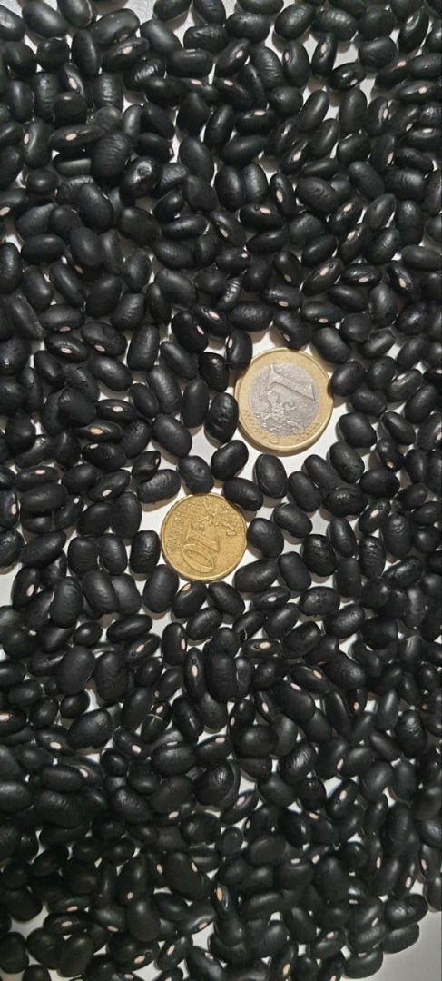 Frigoles negro Purity-99%, moisture-14%, 480 un/100g