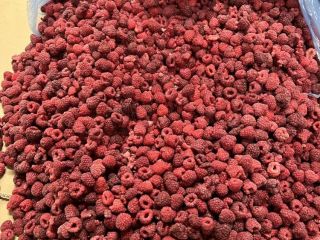 We offer you frozen raspberries 80/20 for sale. Raspberries