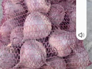 I will sell beetroot in truck quantities and smaller.