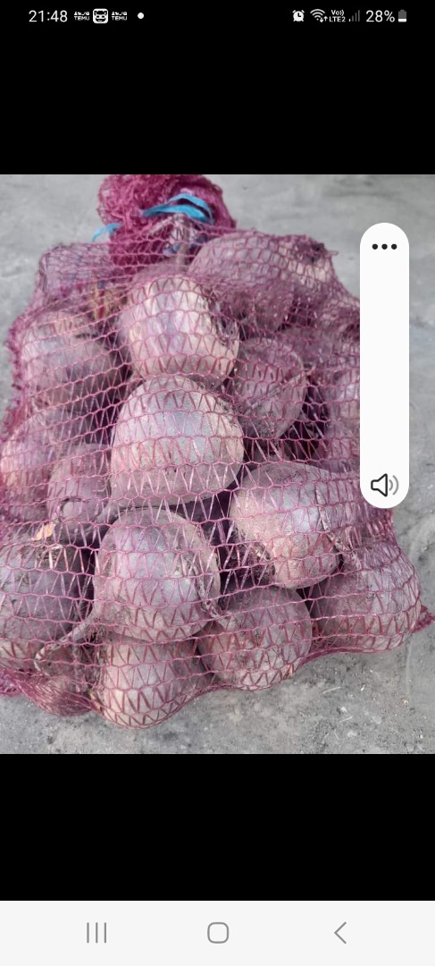 I will sell beetroot in truck quantities and smaller