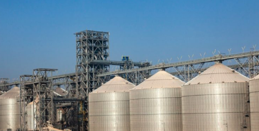 BGS Trading Ltd - Grain and Cereal Export Offer BGS Trading Ltd offers high-quality grain and cereals