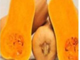 Pumpkin Matilda, excellent for any pastry.