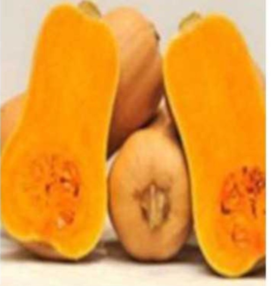 Pumpkin Matilda, excellent for any pastry