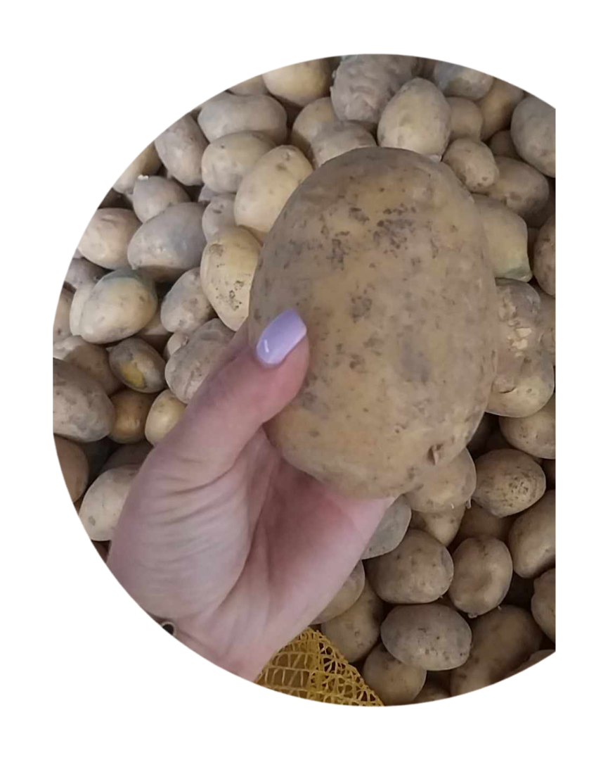 I will sell potatoes of the Soraya variety