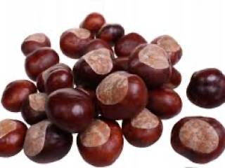 I am organizing a chestnut collection campaign with my
