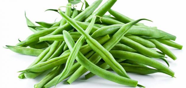 Seeking Buyers for Fresh Green Beans and Agricultural Products from Senegal – Export to Europe Are you looking for high-quality fresh green beans and other