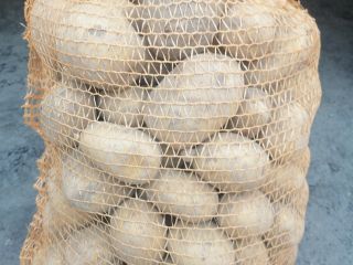 Hello, I will sell potatoes of the following varieties: