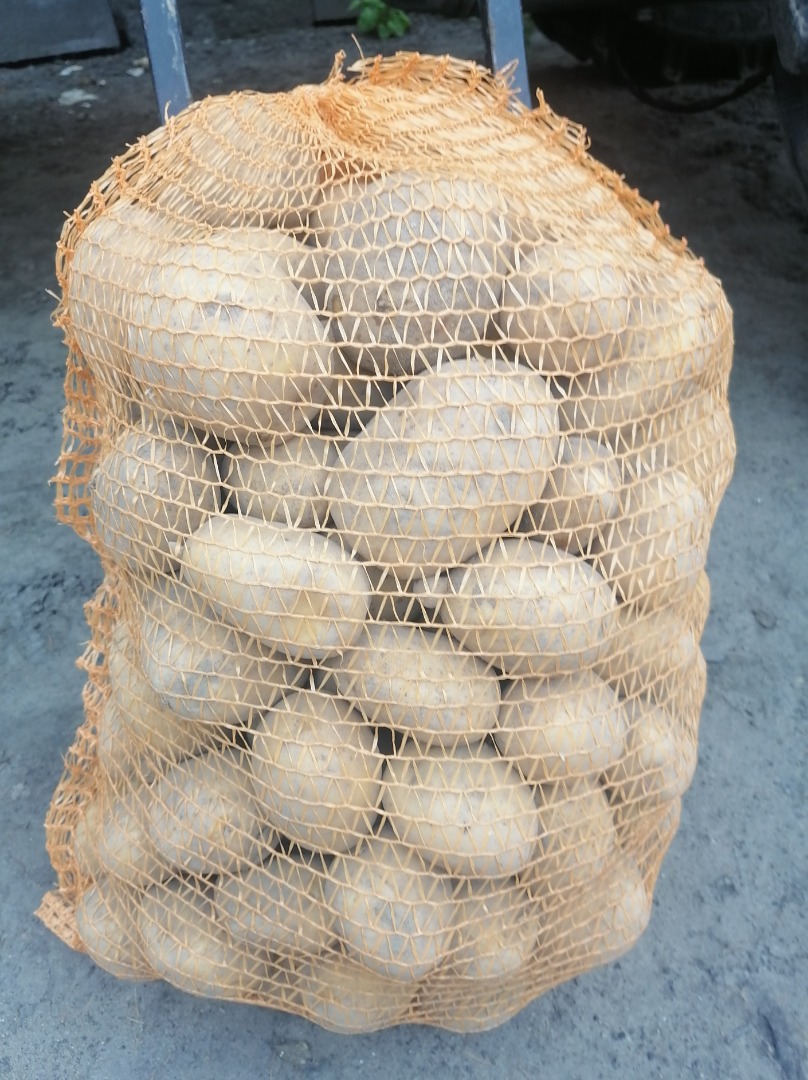 Hello, I will sell potatoes of the following varieties: denar, anuschka, red sonia, typhoon, constans, soraya, gala and bellarosa