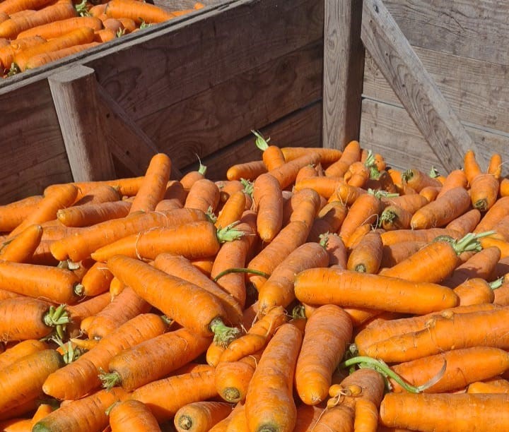 I will sell a selection of carrots