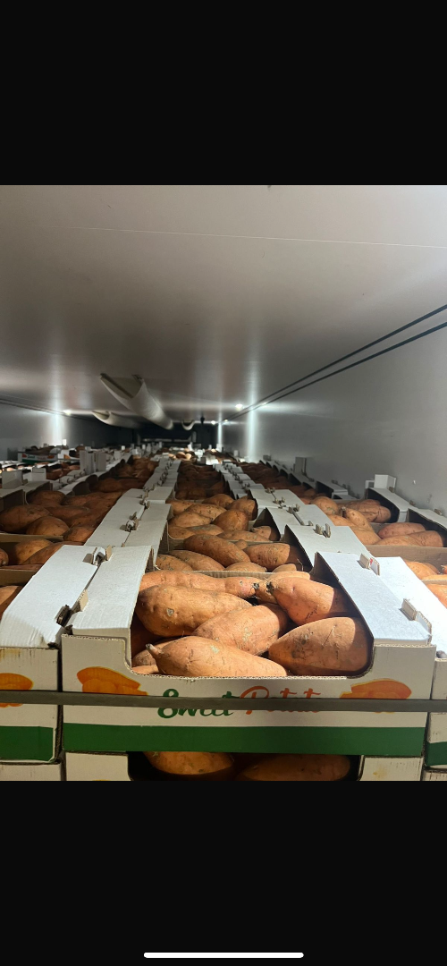 Hello, I will sell sweet potatoes wholesale at an attractive price, I have 10 tons