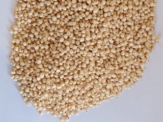 Selling white sorghum. 1000 tons. Currency contract, fca.
